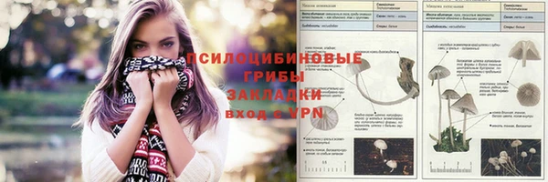 spice Абаза